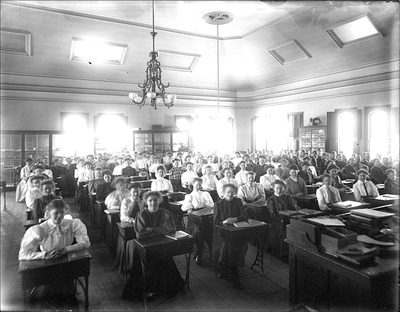 Cho thuê nhân sự Trợ Giảng Khu Vực Trung Tâm - Công ty TNHH Tư Vấn Dịch Vụ Chồi Xanh